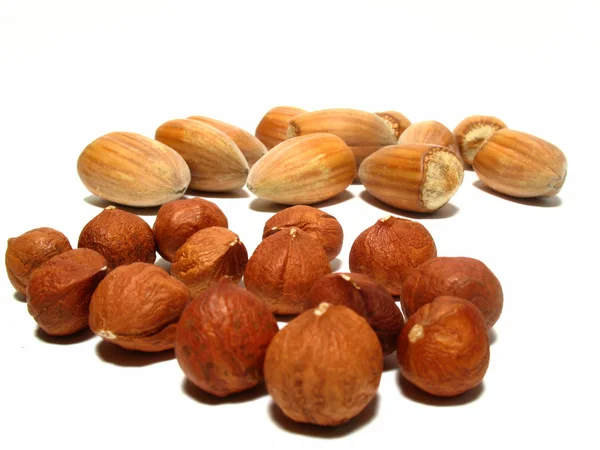 Hazel nuts — Stock Photo, Image