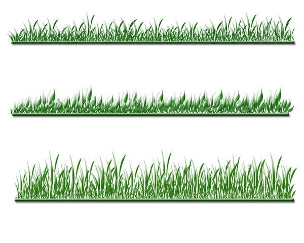 stock image Grass