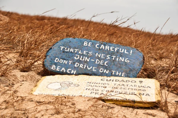 Teknősök fészkelő figyelmeztető jel a strandon Stock Kép