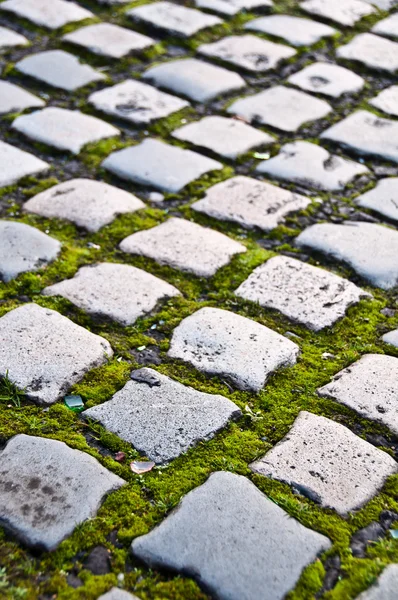 stock image Cobblestone road