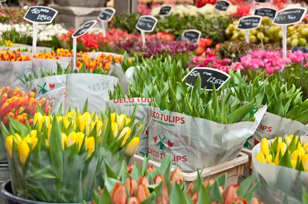 Tulpen in de uitverkoop — Stockfoto