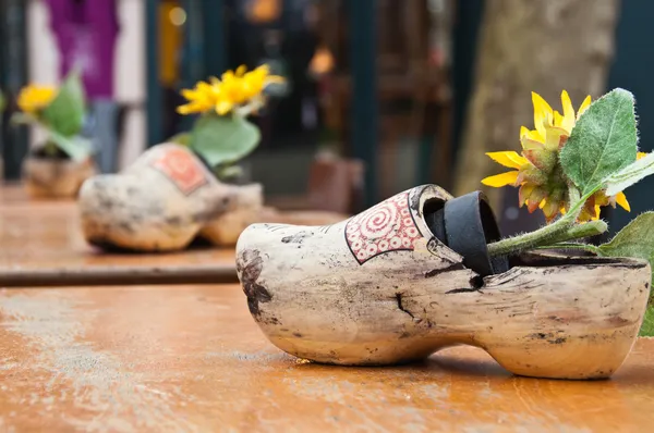 Традиційні дерев'яні взуття Стокова Картинка