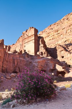 Ancient city of Petra clipart