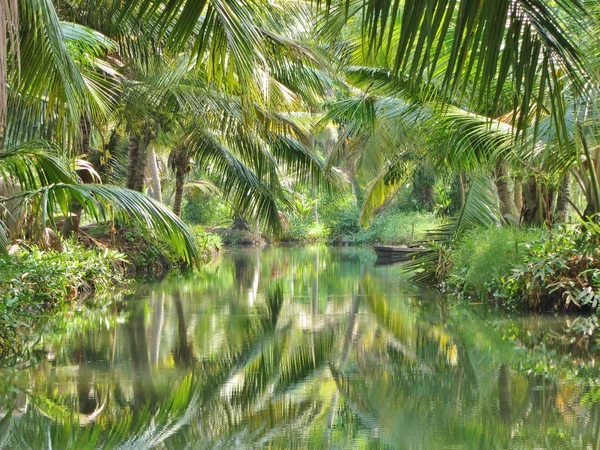 stock image Coconut palm relections - backwaters, Kerala, India