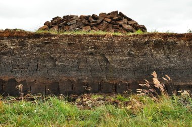Horizontal peat digging on Harris, Scotland clipart