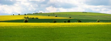 Rural scene on the ridgeway, england clipart