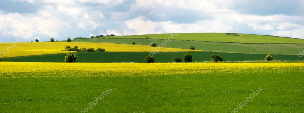 Rural scene on the ridgeway, england