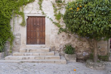 portakal ağaçlarının kapı