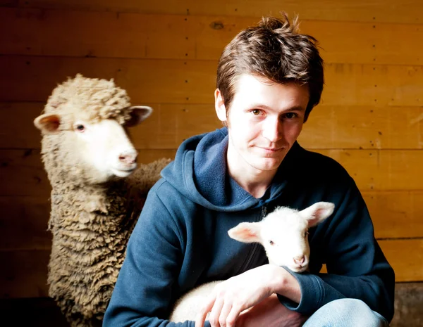 stock image Surrounded by the owner of sheep and calves