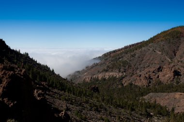 tenerife bir parçası doğal görünümü