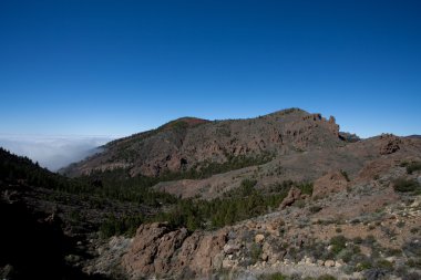 tenerife bir parçası doğal görünümü