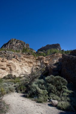 Teide Milli Parkı