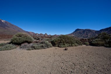 tenerife doğal görünümü