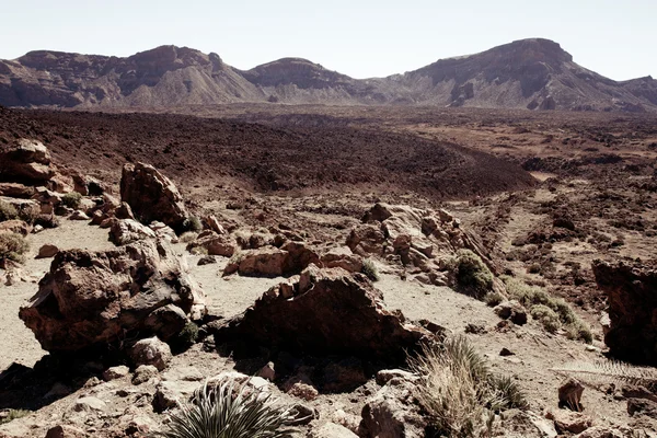 Tenerife çöl manzarası