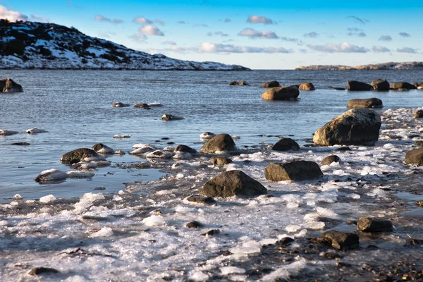 Seenlandschaft im Winter — Stockfoto