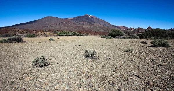 Mount teide at 3200 meters — Stock Photo, Image