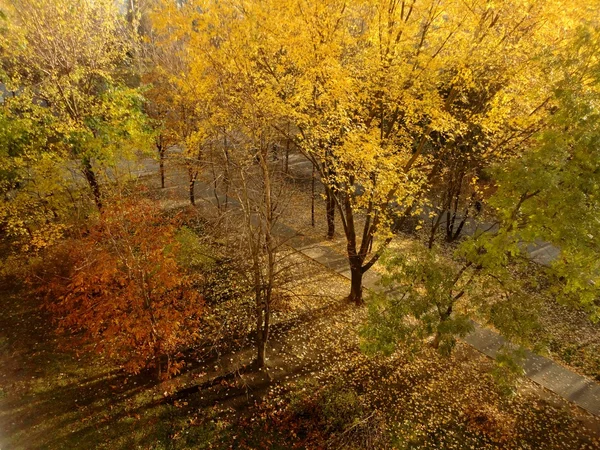 Autumn natural landscape panoramic — Stock Photo, Image