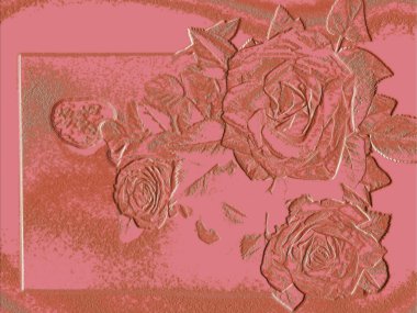 gül pembe ve kırmızı çiçek arka