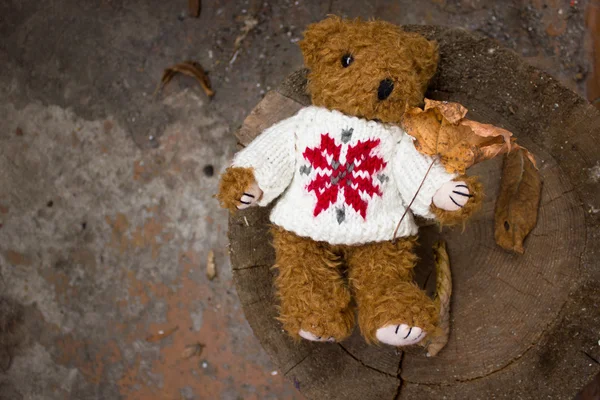 Handmaid teddy — Stock Photo, Image