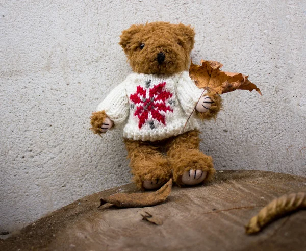 Handmaid teddy — Stock Photo, Image