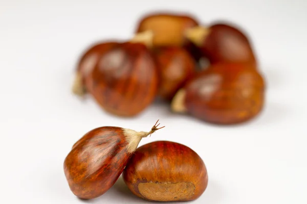 stock image Chestnuts