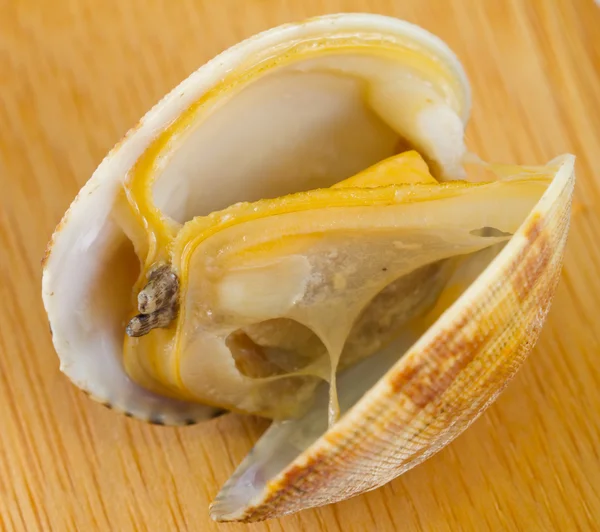 Gekookte clam — Stockfoto