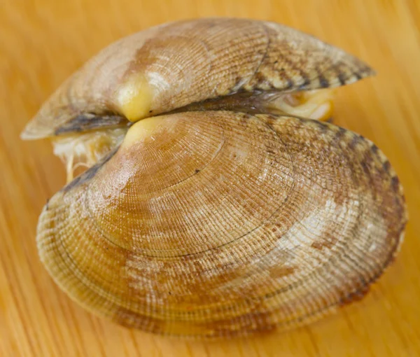 Haşlanmış midye — Stok fotoğraf
