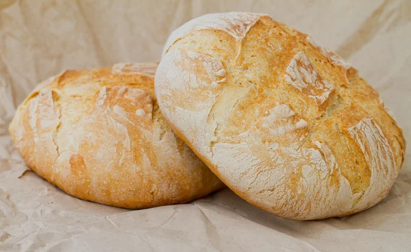 stock image A large round breads closeup photo