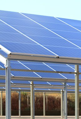 güneş pili hücreleri