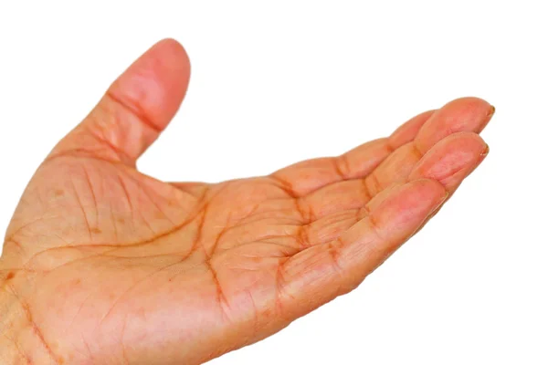 Χέρι με palm όρθιος — Φωτογραφία Αρχείου