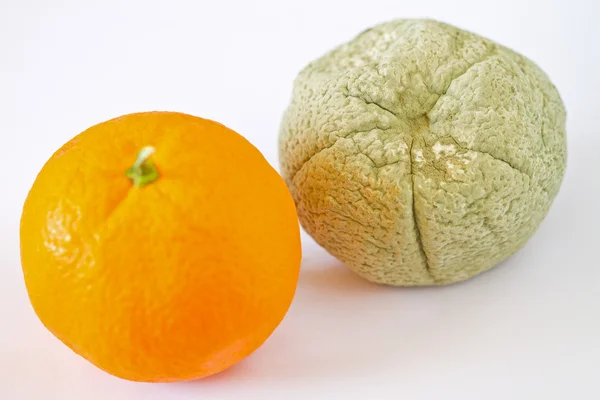 Гнилой и свежий апельсин, сосредоточься на гнилом — стоковое фото