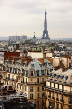 Eiffel tower over the roofs clipart