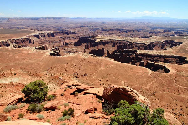 Canyonlands: crater of stone monuments and pillars — Stock Photo, Image