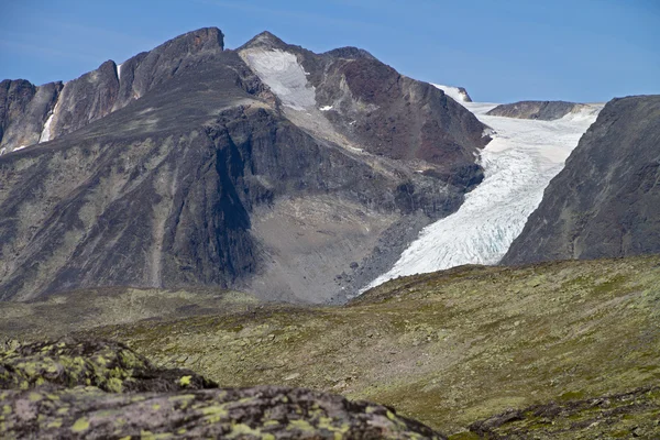 Gletscherzunge — Stockfoto