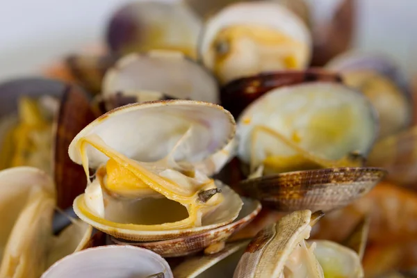 Варёные моллюски — стоковое фото