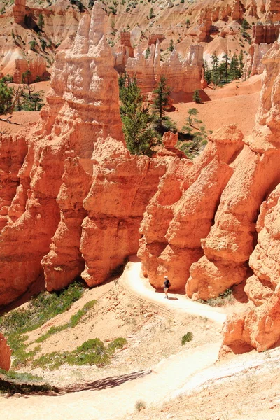 Bryce Canyon suelo rojo brillante — Foto de Stock