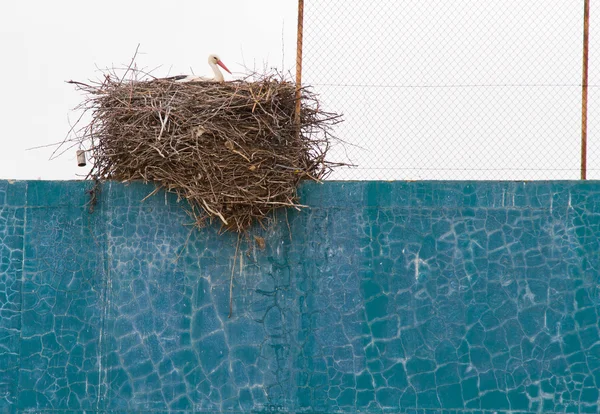 Аистовое гнездо на фронтонной стене — стоковое фото