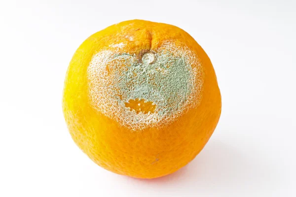 Morsches Orange — Stockfoto