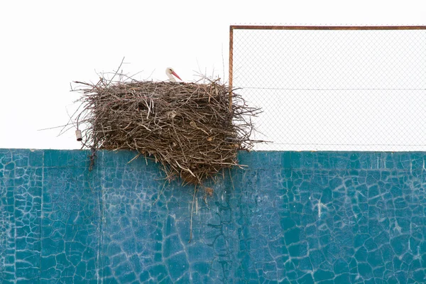 Stork nest over fronton wall — Stock Photo, Image