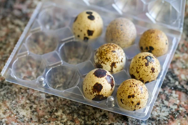 Перепелиные яйца на яичной коробке — стоковое фото
