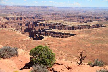 Canyonlands: krater taş anıtlar ve sütunlar