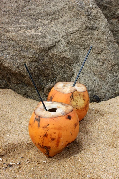 Bebida de coco rei — Fotografia de Stock
