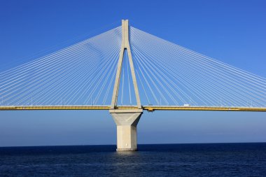 Cable-stayed bridge 
