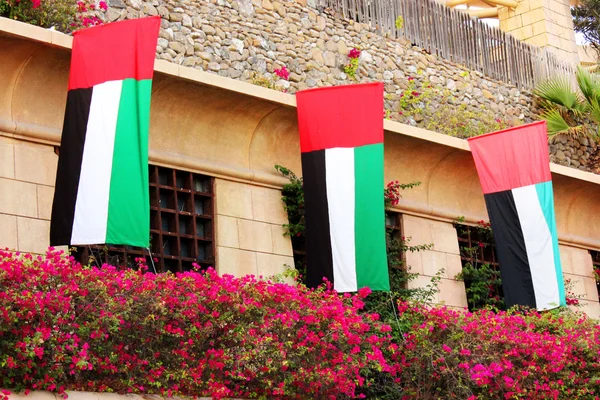 Флаги ОАЭ — стоковое фото