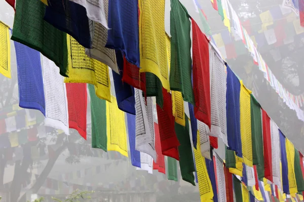 Bandeiras de oração em Lumbini — Fotografia de Stock