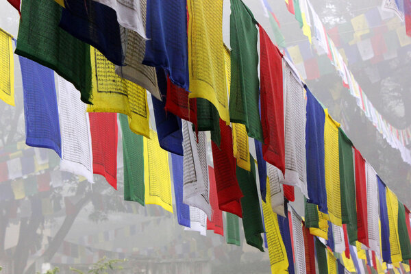 Prayer Flags in Lumbini