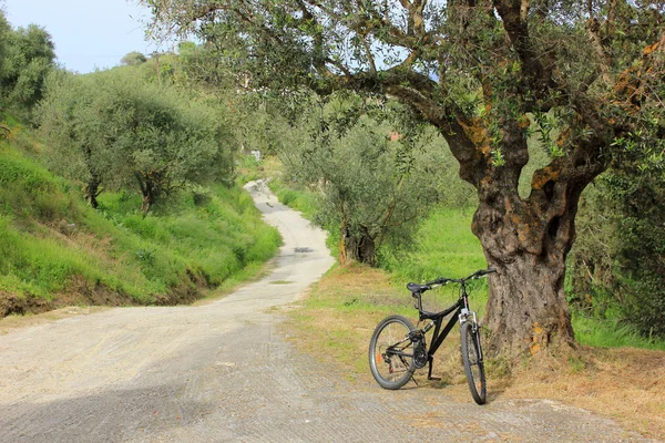 Jazda na rowerze w przyrodzie, wyspa Zakynthos, Grecja — Zdjęcie stockowe