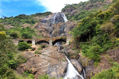 Dudhsagar Falls at Goa clipart