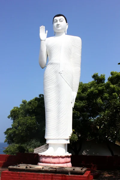 Big Buddhastatyn, sri lanka — Stockfoto