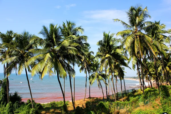 Spiaggia di Candolim, Goa, India Fotografia Stock